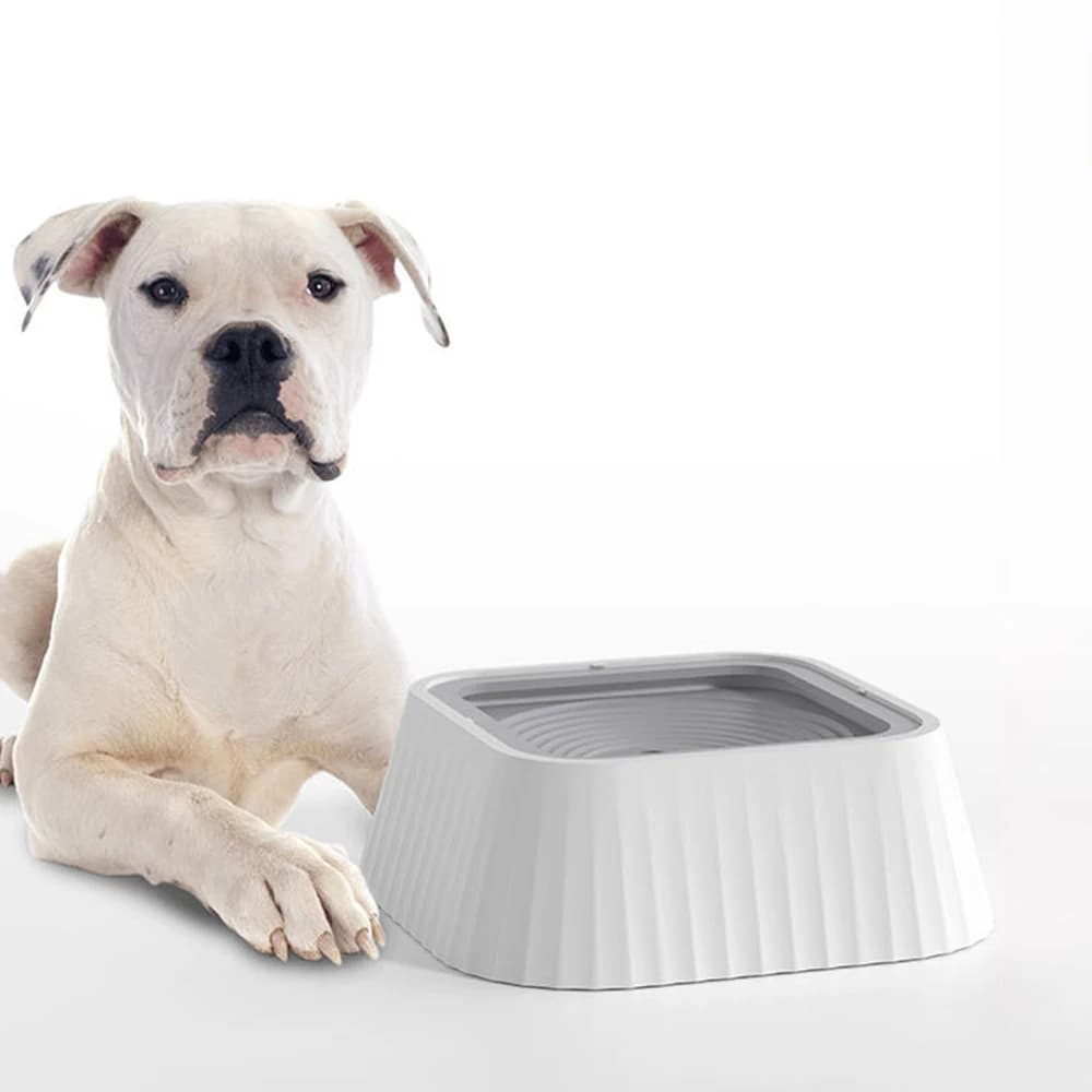 Floating Elevated Pet Water Bowl with Neck Protection