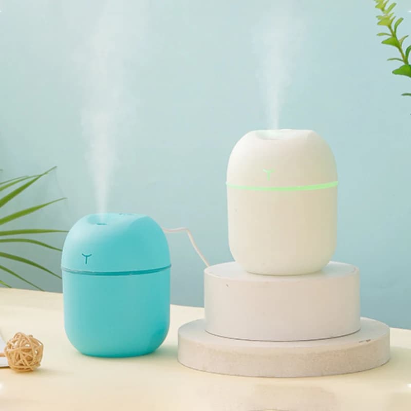Mini Ultrasonic Humidifier with Night Light