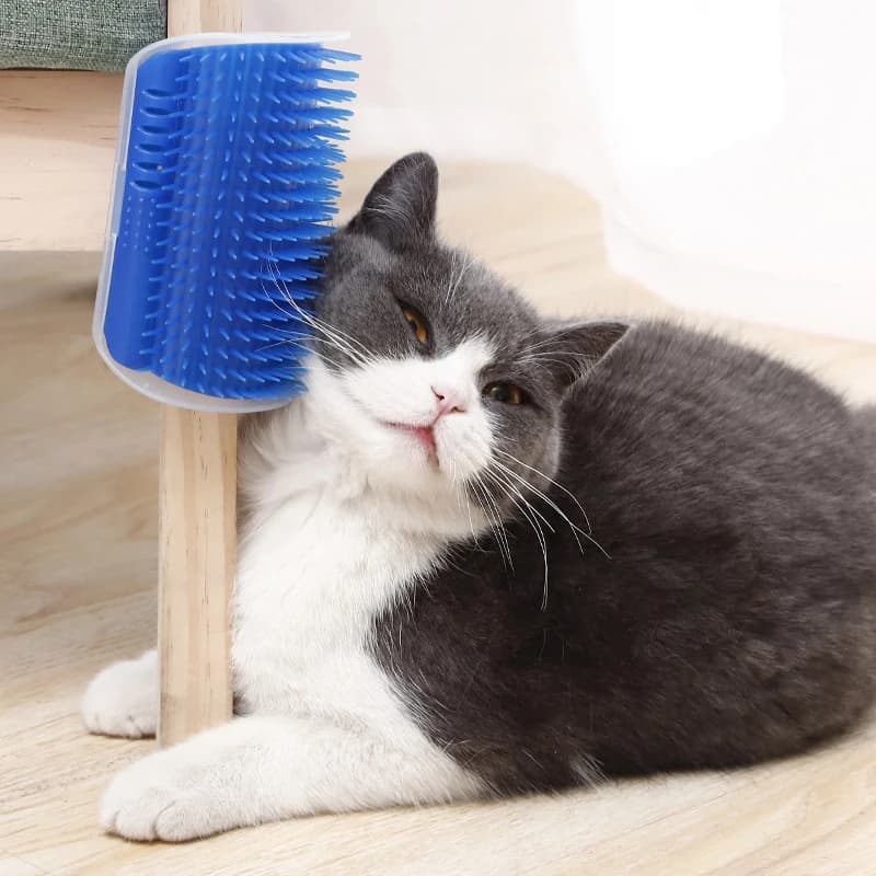Cat Scratcher Massager for Cats Scratching Pets Removal Beauty Clean Corner Brush Removable Comb for Kitten Cat massagetool