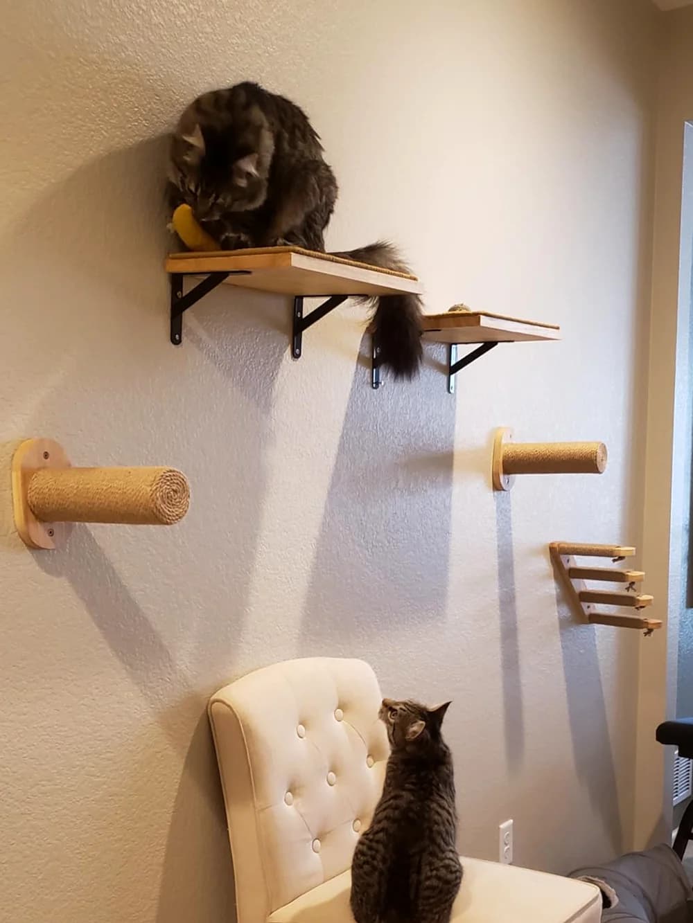 Wall Mounted Cat Tree with Floating Shelves