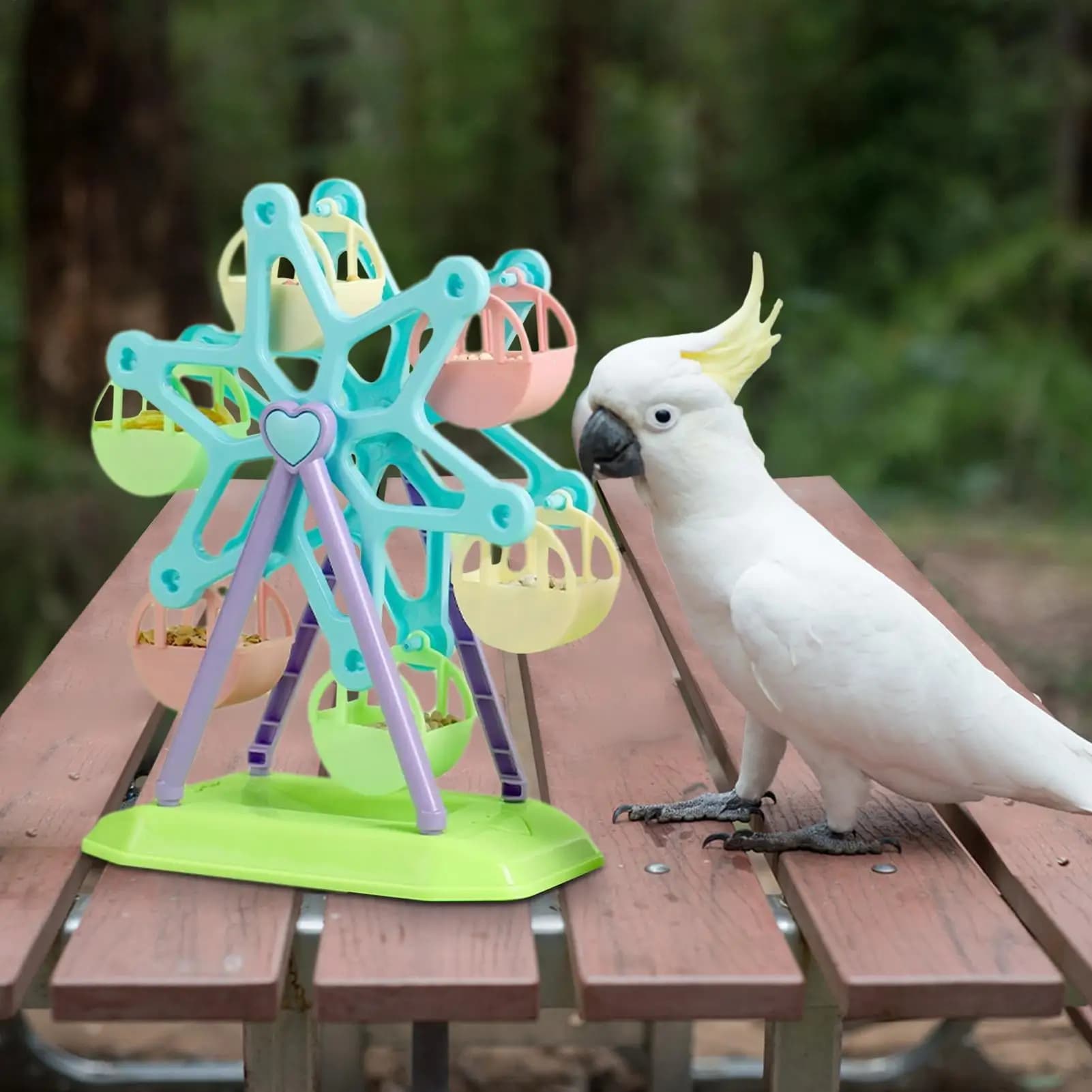 Bird Foraging Wheel Feeder Toy