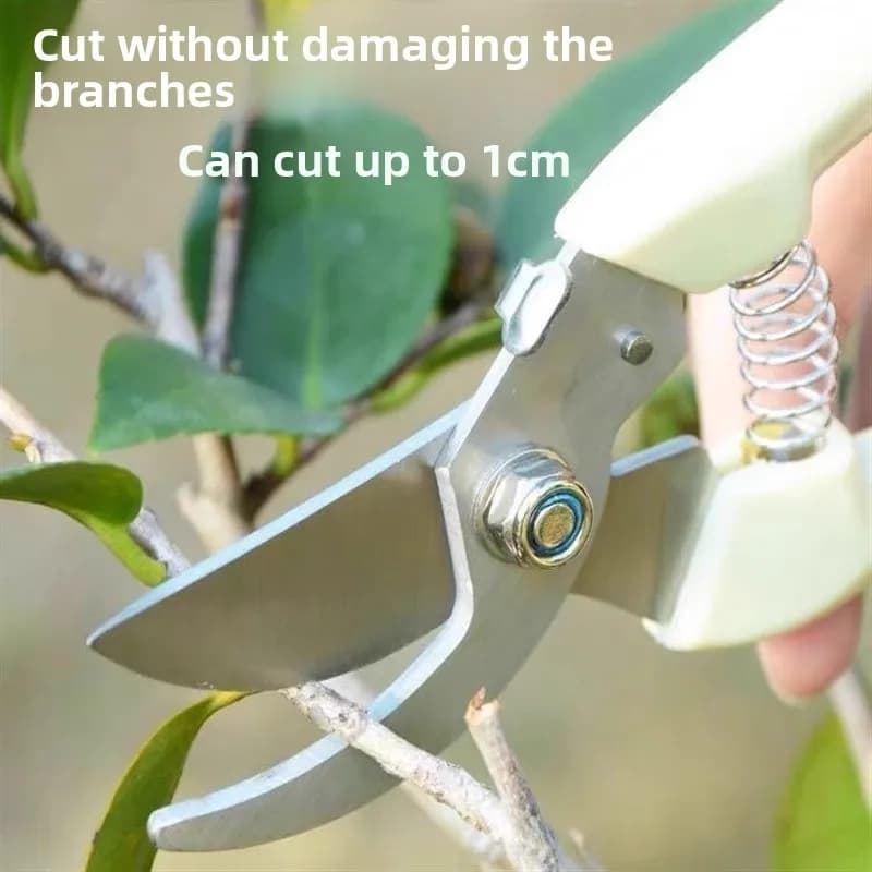 Power Pruning Shears for Fruit Trees