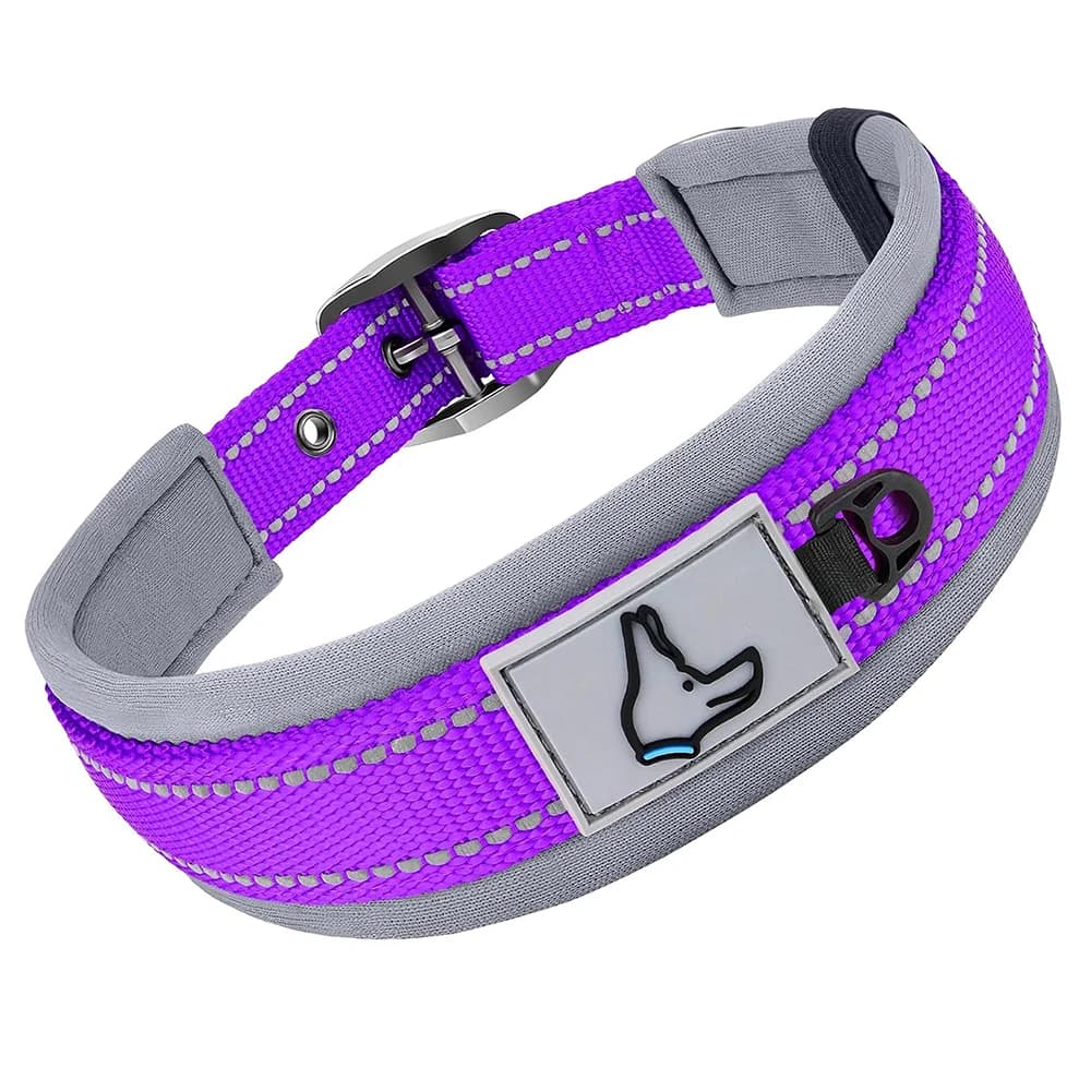 Padded Reflective Dog Collar with Metal Buckle