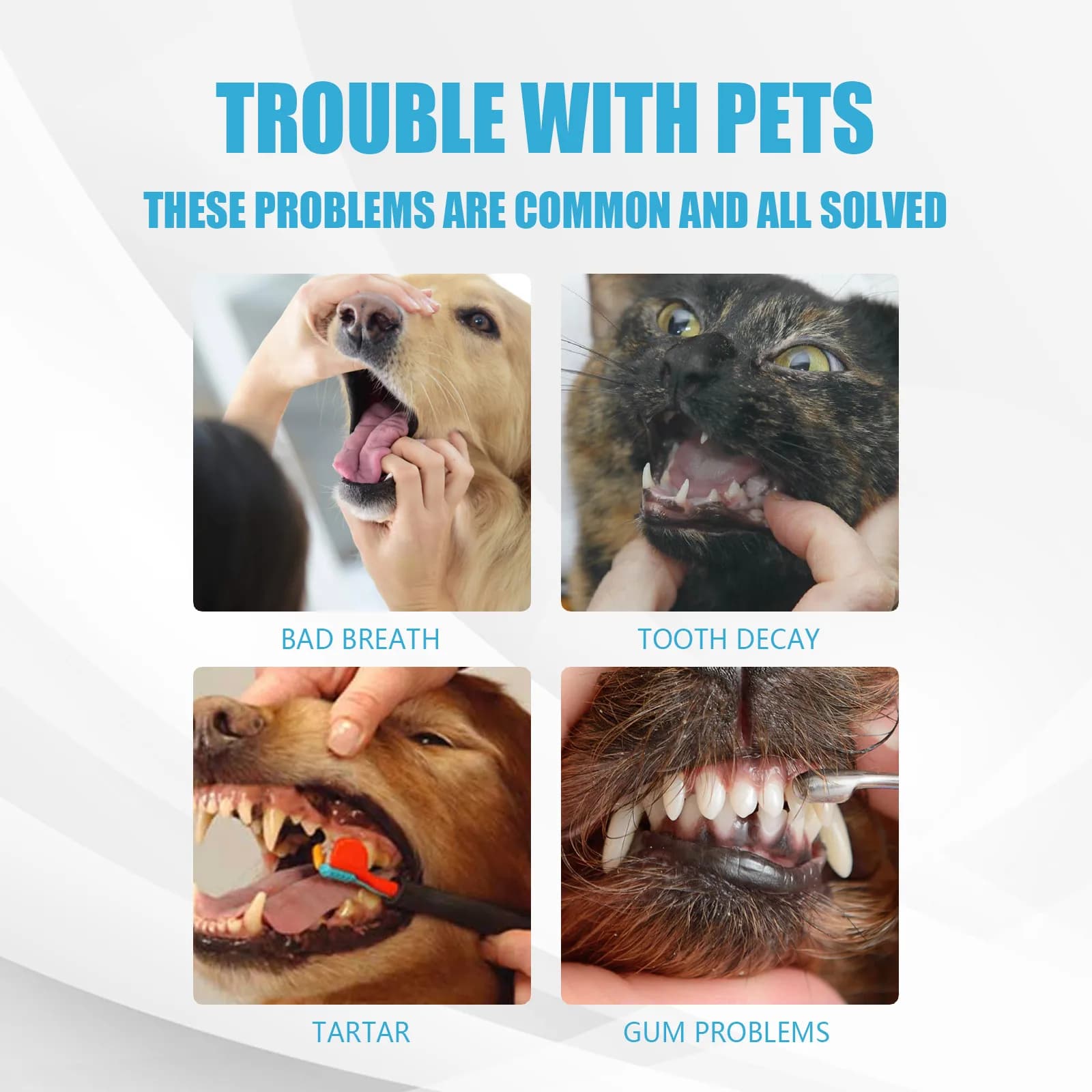 Pet Oral Care Toothpaste
