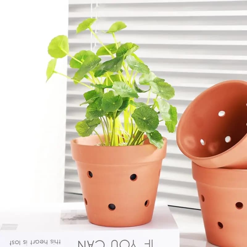 Terracotta Orchid Pots with Drainage Holes, 4.5 Inch, 6-Pack