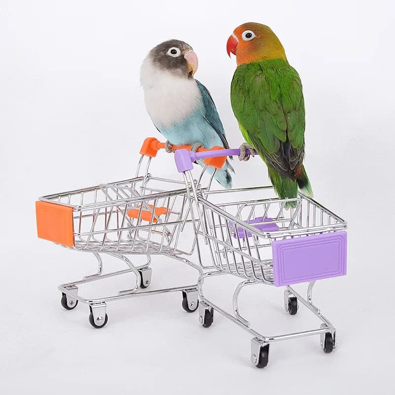 Bird Cage Activity Toy