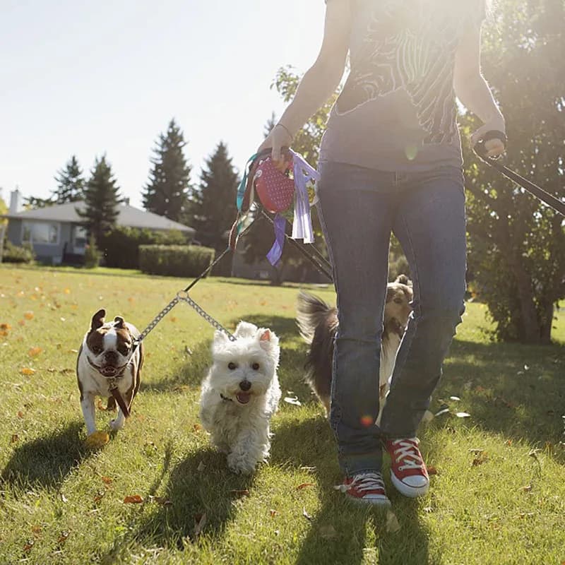 Double Dog Leash Coupler Stainless Steel