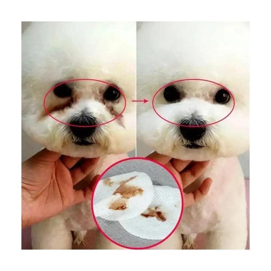 Pet Eye and Ear Tear Stain Remover Wipes