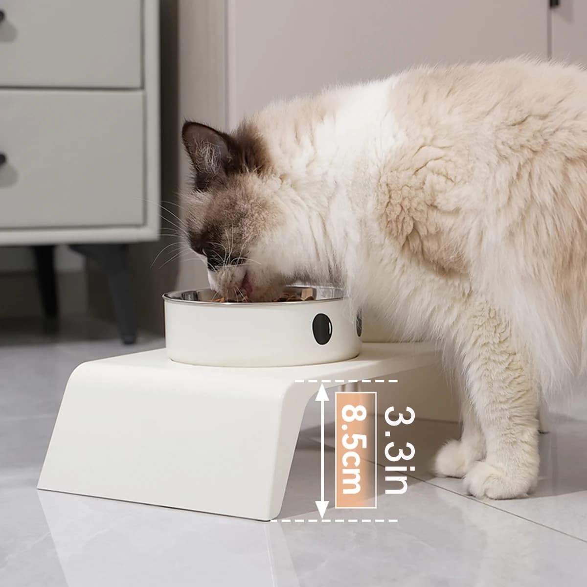 Elevated Pet Feeder Stand with Double Bowls