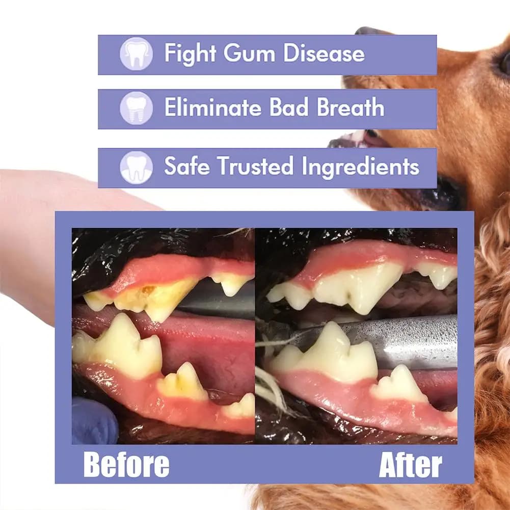 Pet Dental Spray for Dogs