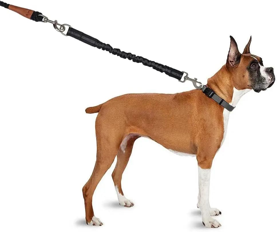 Dog Leash Extension with Metal Buckle