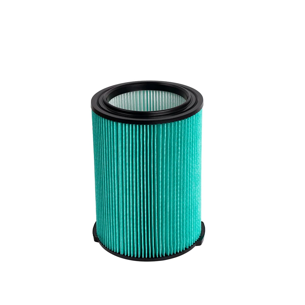 Wet Dry Vacuum Filter Replacement