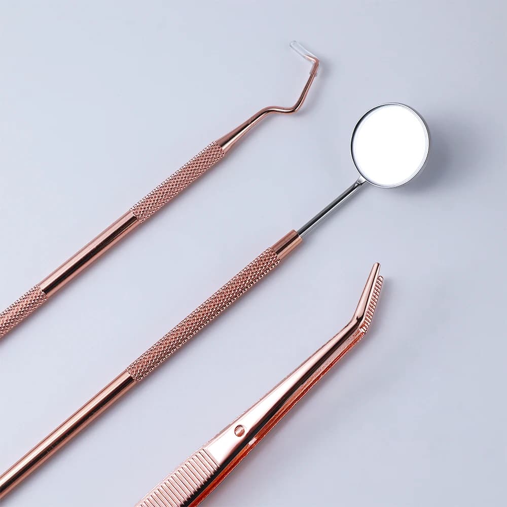 Dental Probe and Cleaning Tool Kit
