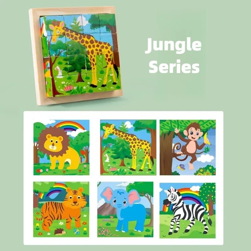 Wooden Six-Sided Puzzle Blocks