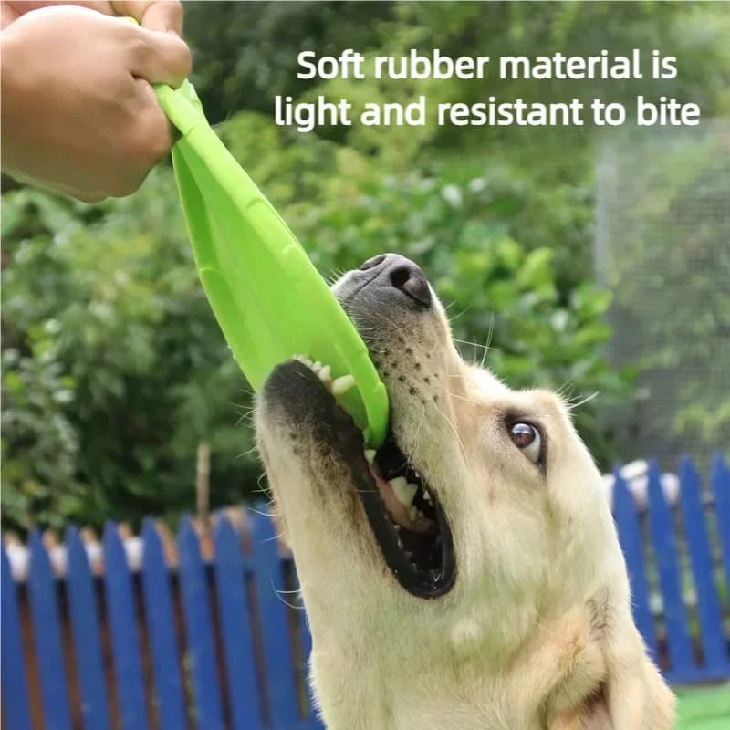 Bite Resistant Silicone Flying Disc for Dogs