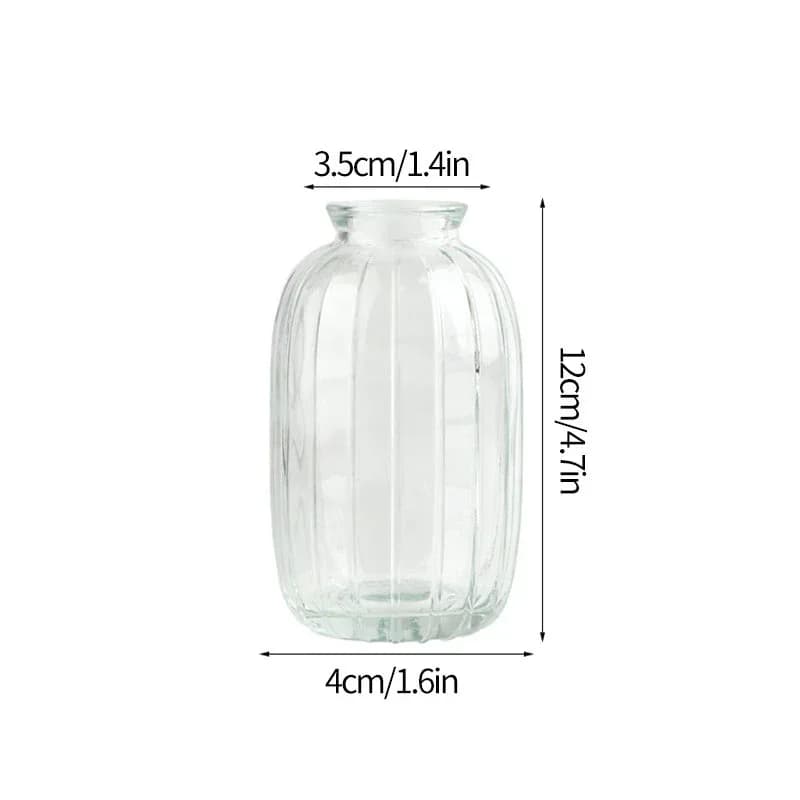 Clear Glass Minimalist Flower Vase
