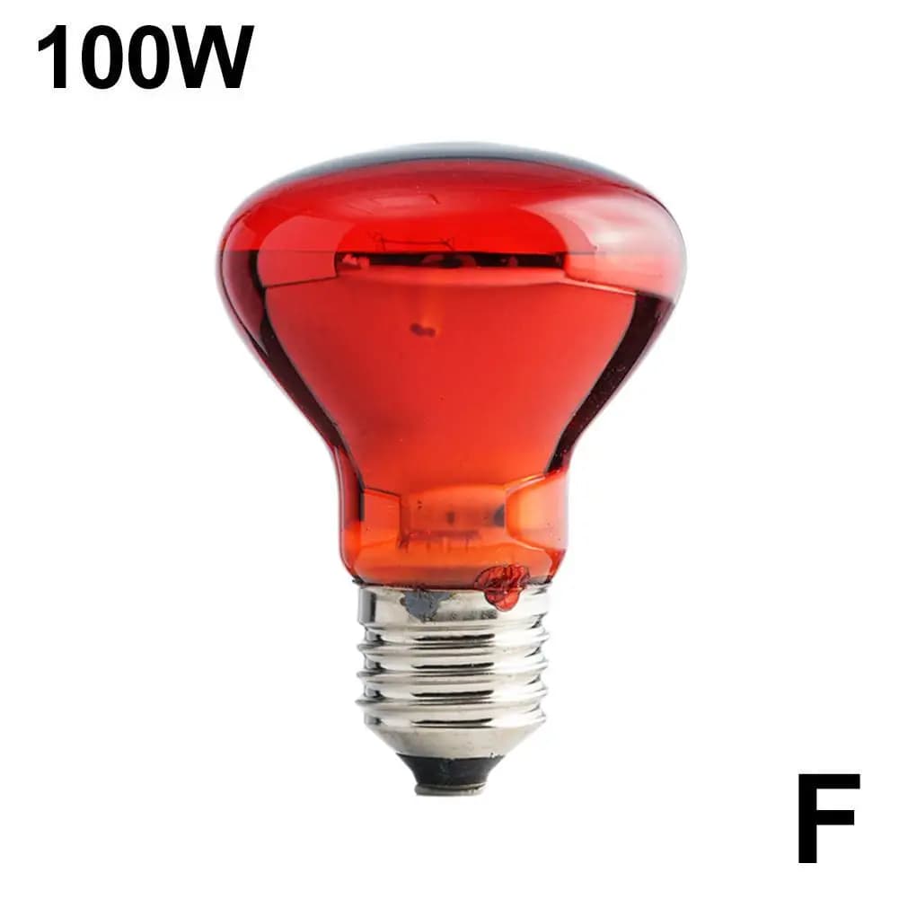 Reptile Heat Lamp Bulb UVA Day Night 25-100W