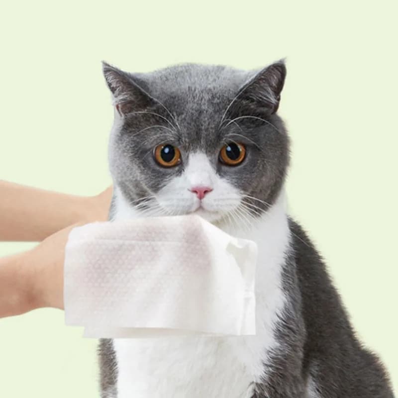 OUWO 80PCS/Bag Pet Wipes Clear Pet Eye Ear Claw Wipes For Dog Cat Pure Water Wet Pet No Rinse Tear Stain Cleaning Pet Supplies