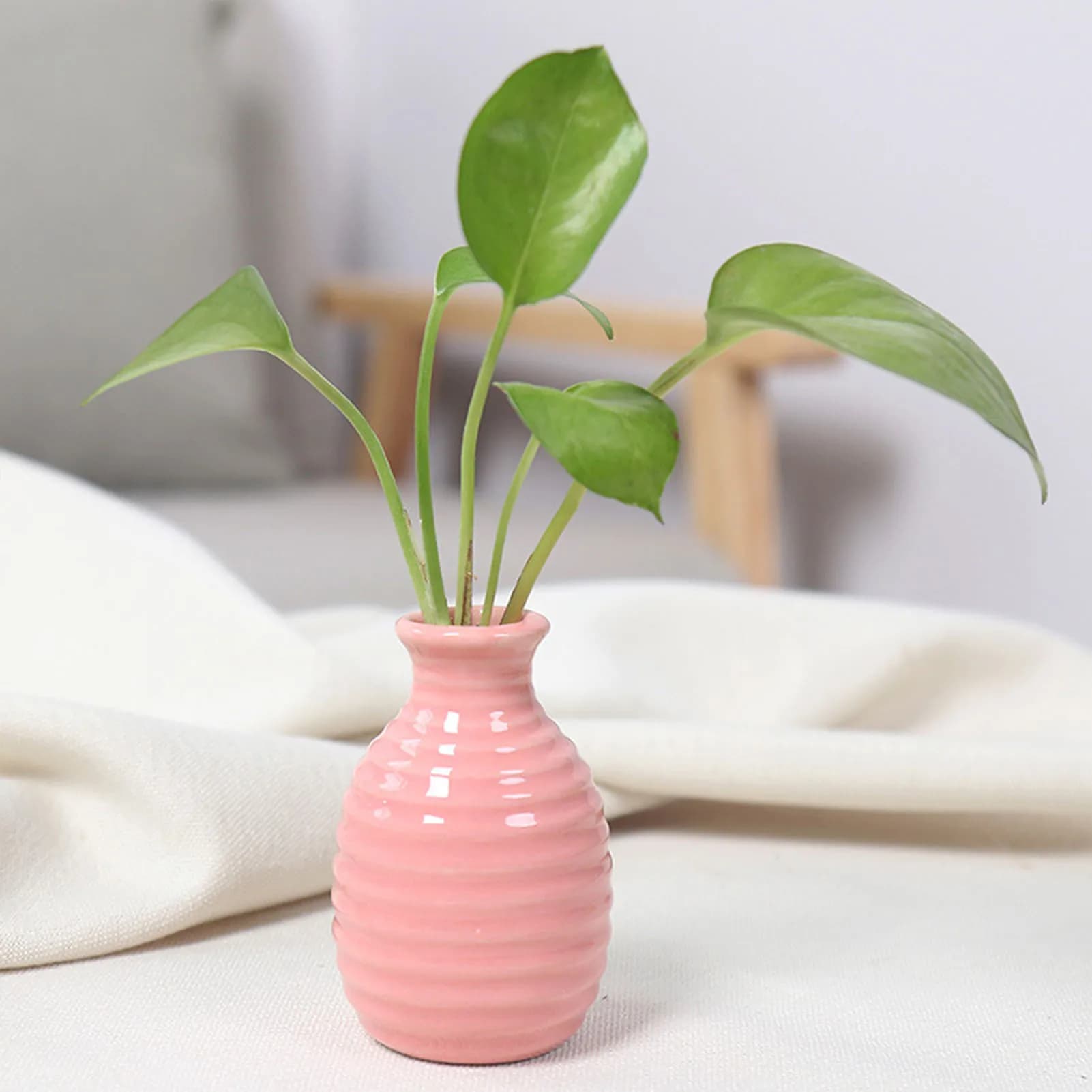 Ceramic Flower Vase for Plants