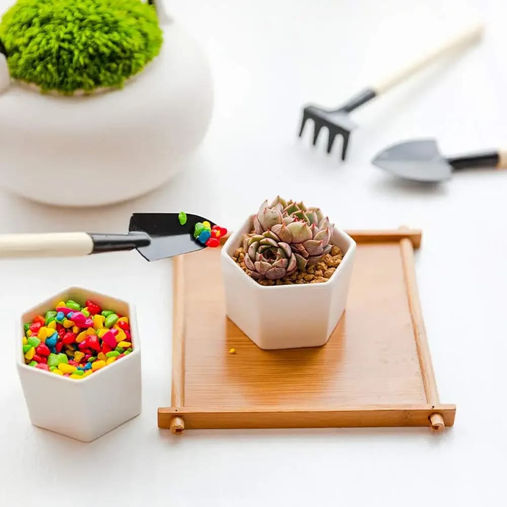 Mini Garden Tool Set with Shovel and Rake