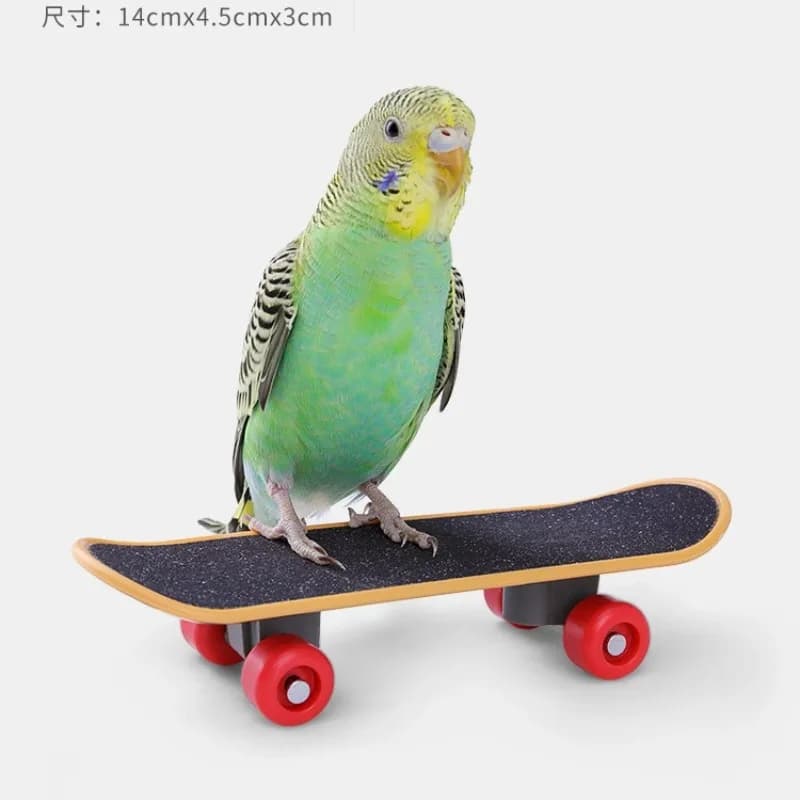 Bird Cage Activity Toy