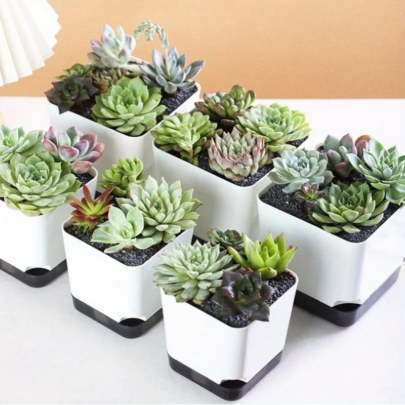 Self-Watering Plant Pots Set of 5