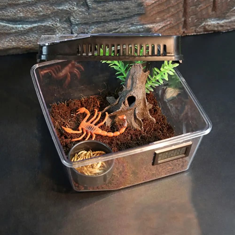 Spider Reptile Terrarium Tank Plastic Breeding Box