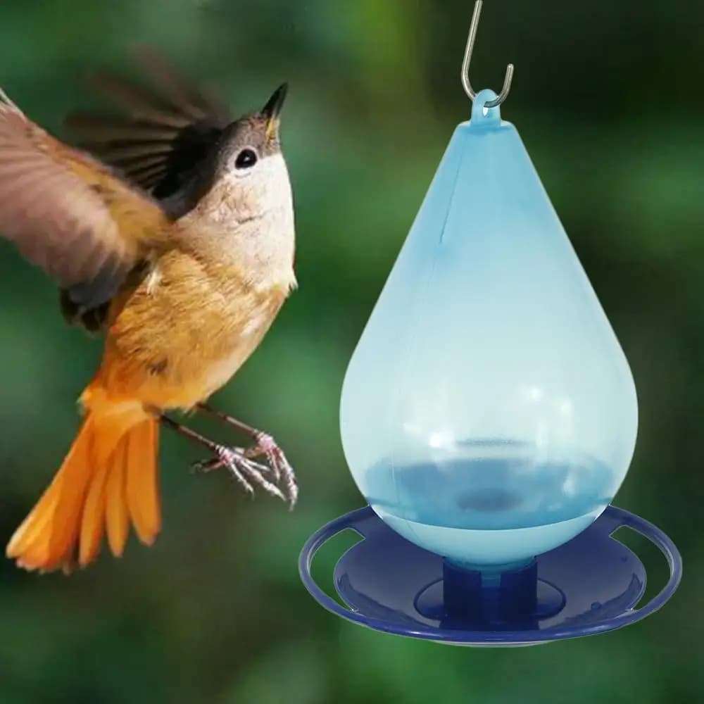 Large Capacity Outdoor Bird Water Feeder