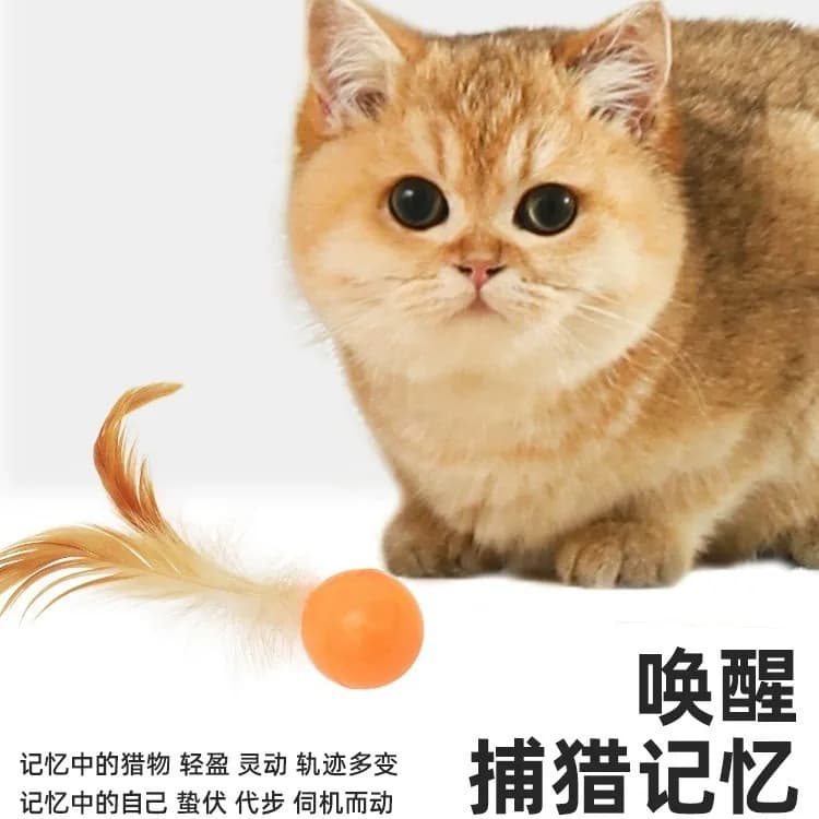 Cat Toys, Elastic Balls, Feather Cat Toys, Self-entertaining and Boring Gadgets, Interactive Pet Supplies for Cats