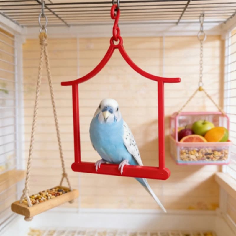 House Shape Bird Swing Perch