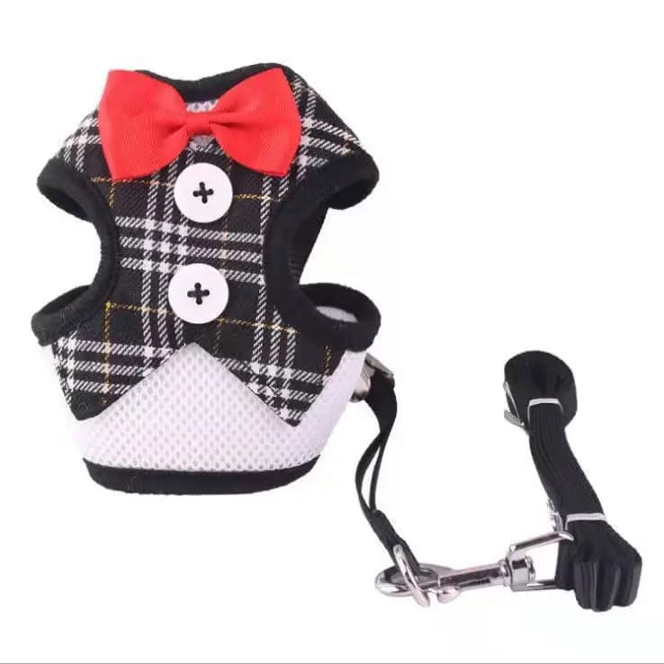 Adjustable Pet Harness with Bow Tie Leash