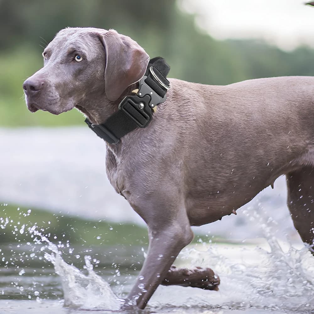 Tactical Dog Collar for Medium to Large Dogs