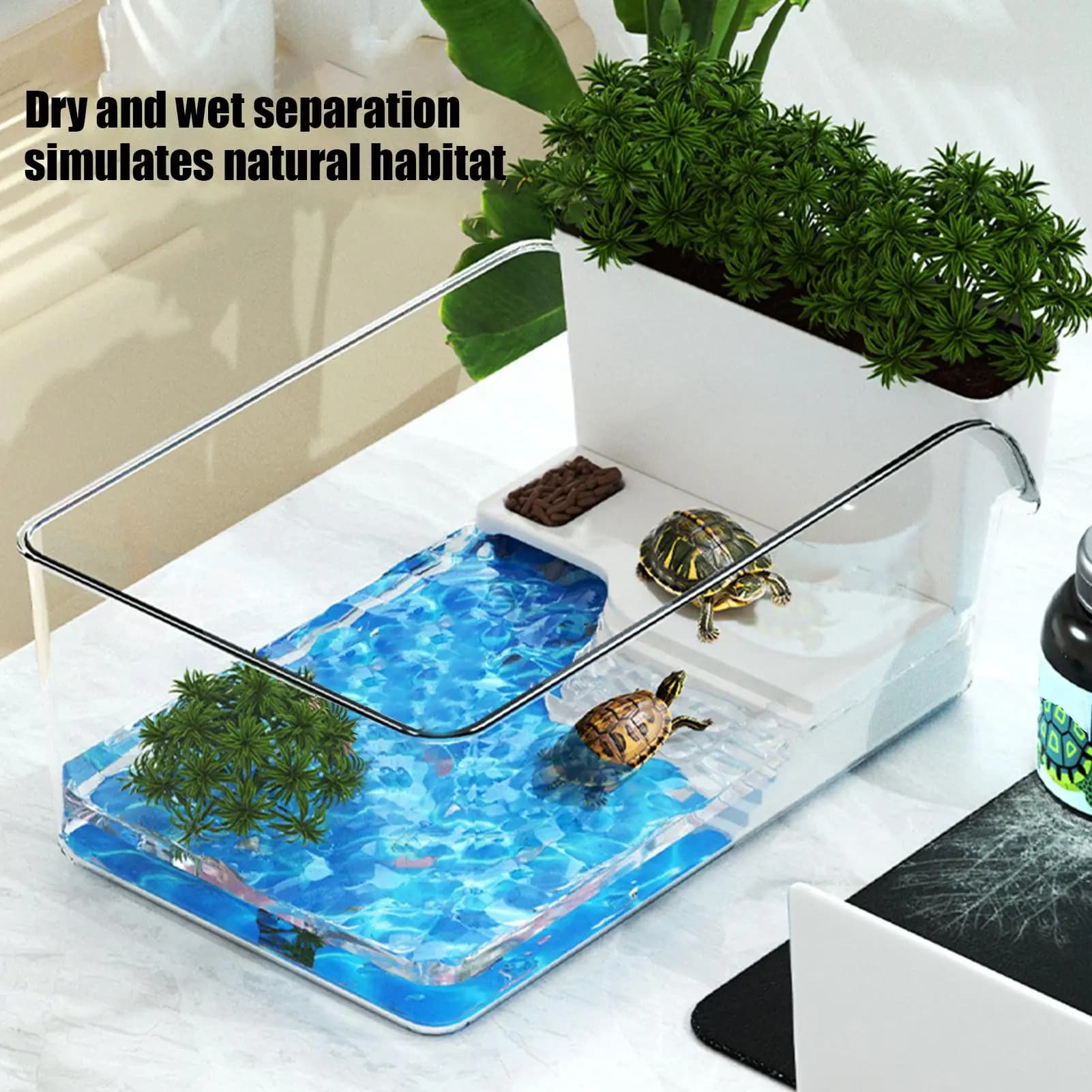 Turtle Tank with Basking Area and Habitat