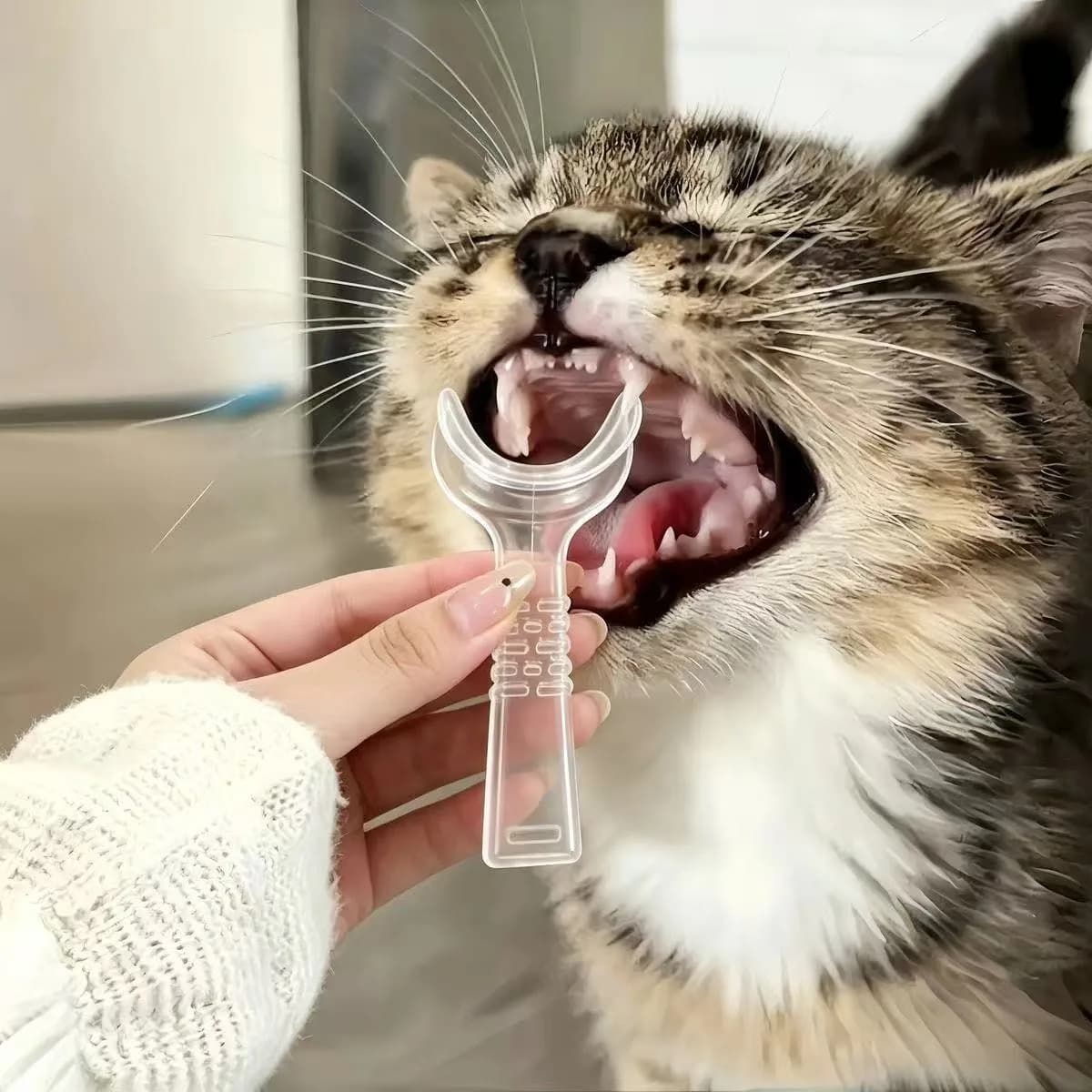 3-Piece Pet Oral Care Kit with Mouthopener