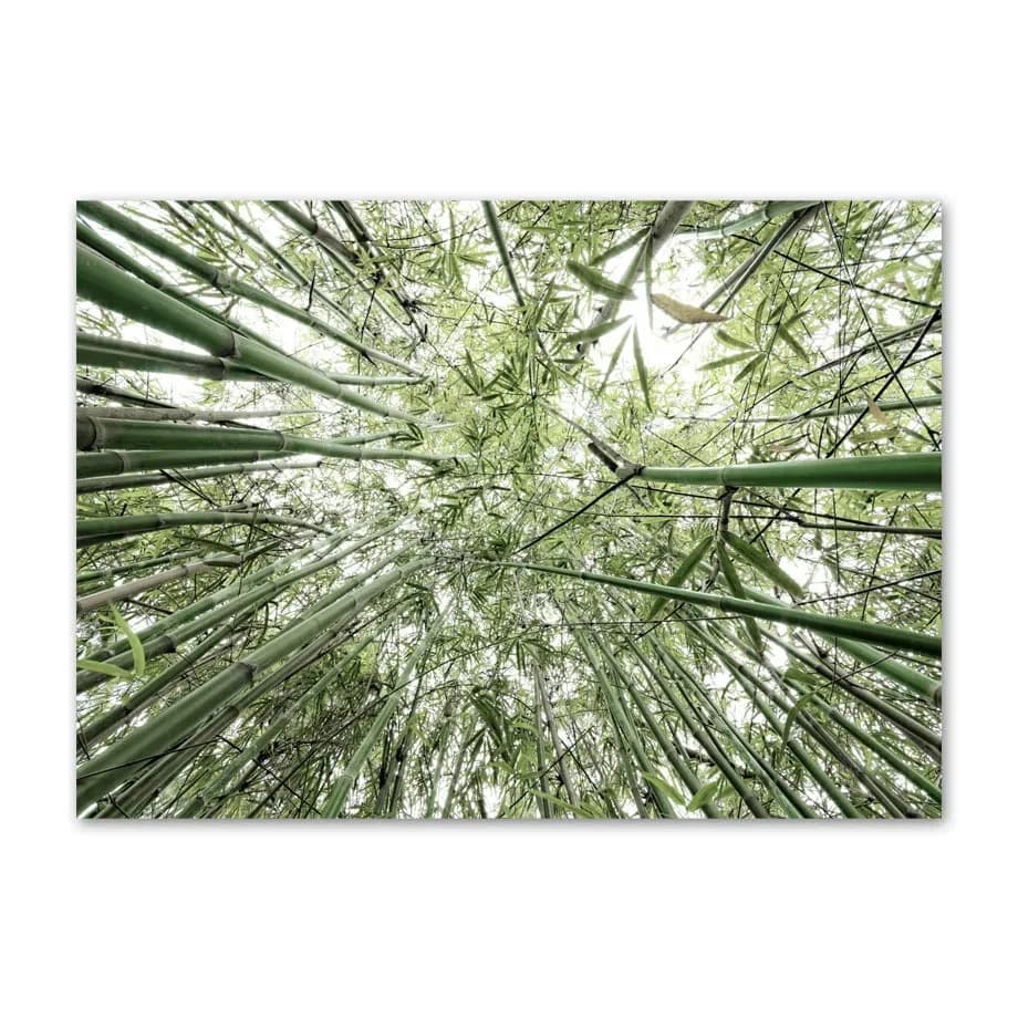 Frameless Green Leaf Landscape Canvas Painting