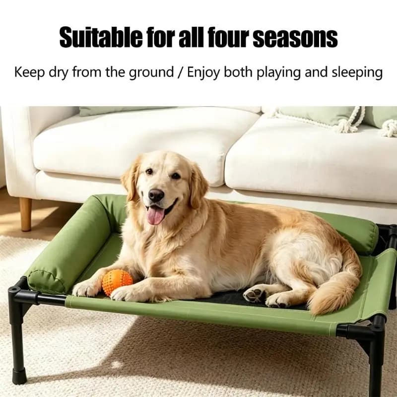Elevated Dog Bed With Mesh Center And Bolsters