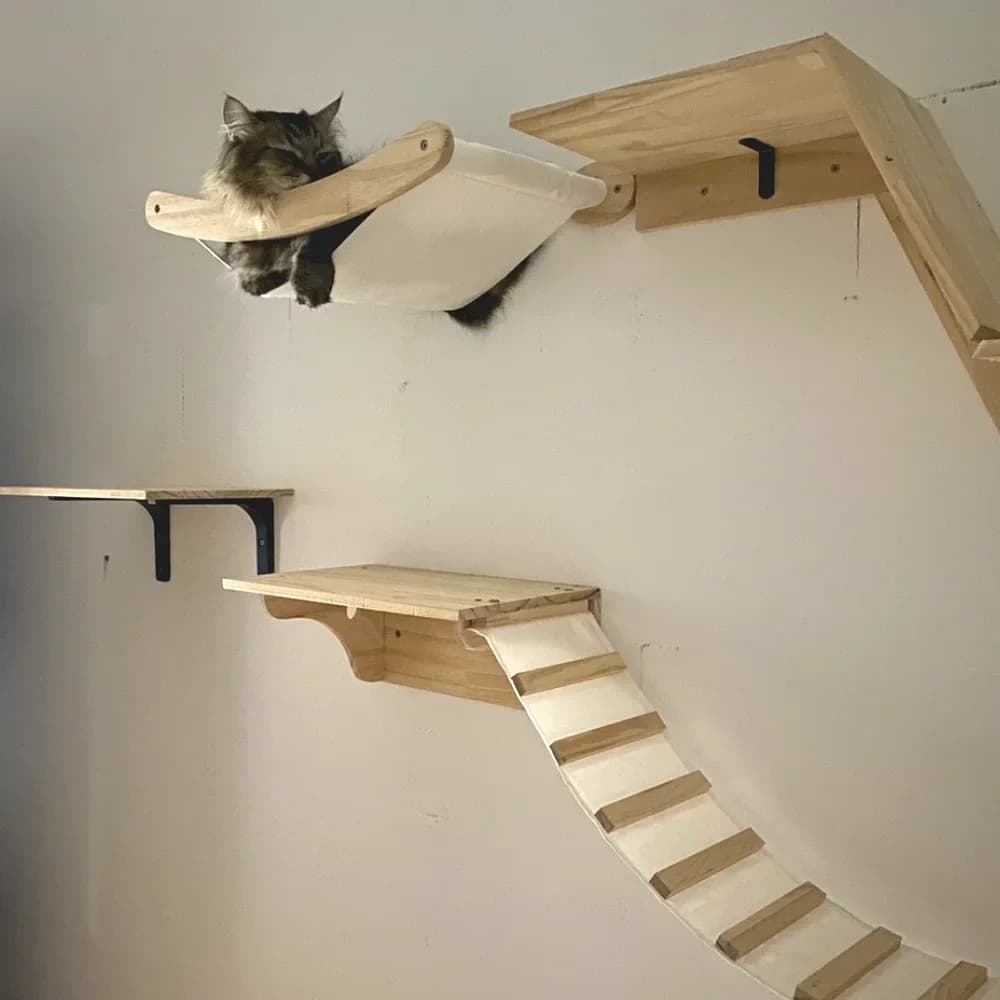 Cat Wall Shelf Climbing System