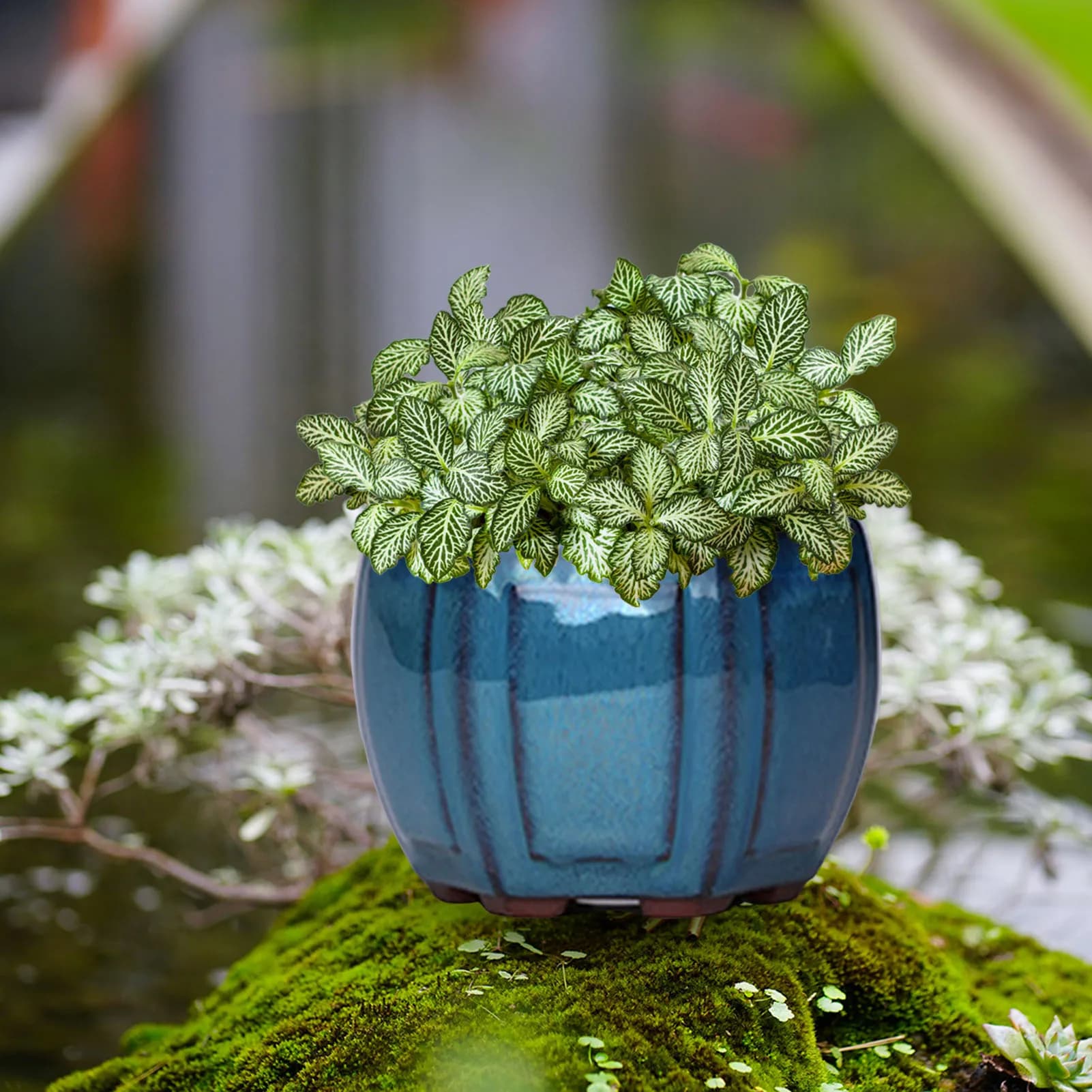 Ceramic Drainage Planter Pot