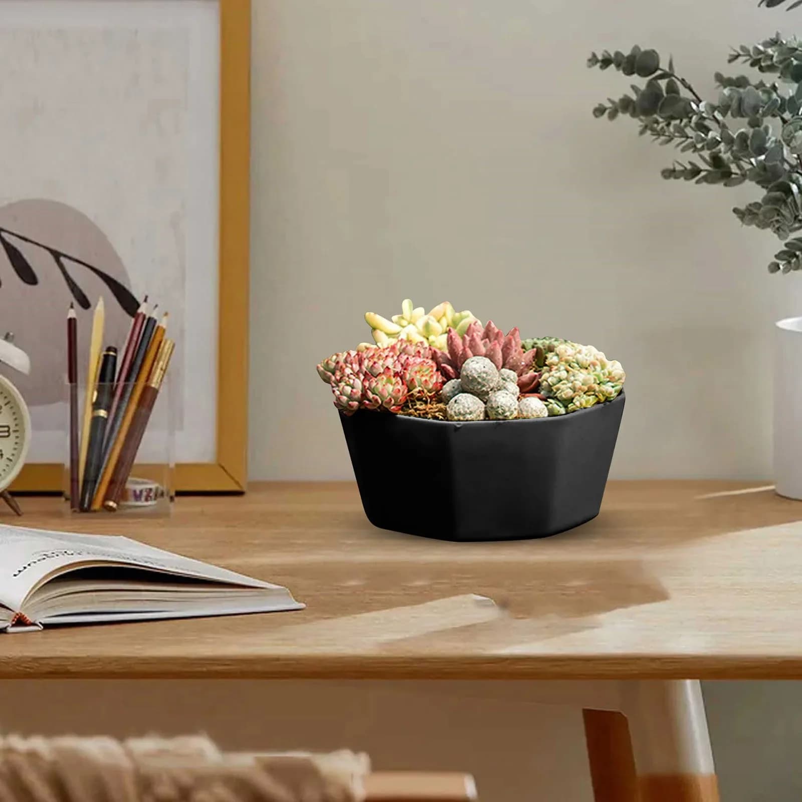 Plastic Flower Pots with Drainage and Saucers