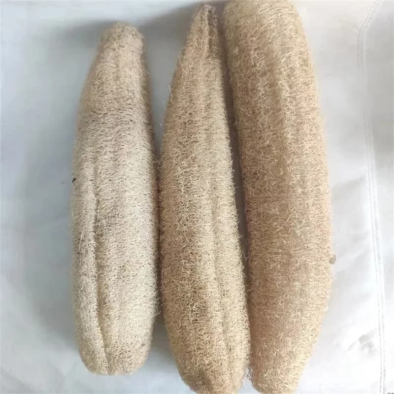 Natural Loofah Sponge