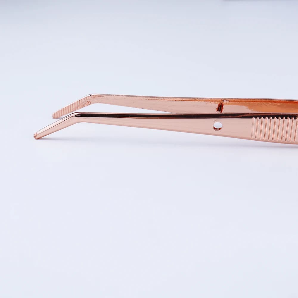 Dental Probe and Cleaning Tool Kit