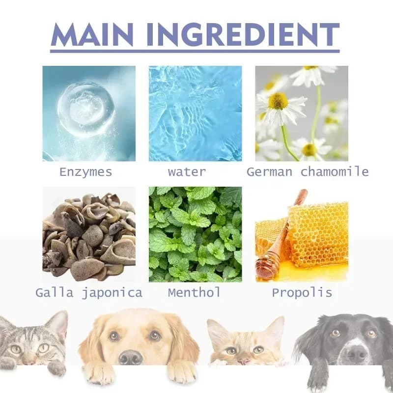 Dog Oral Care Spray
