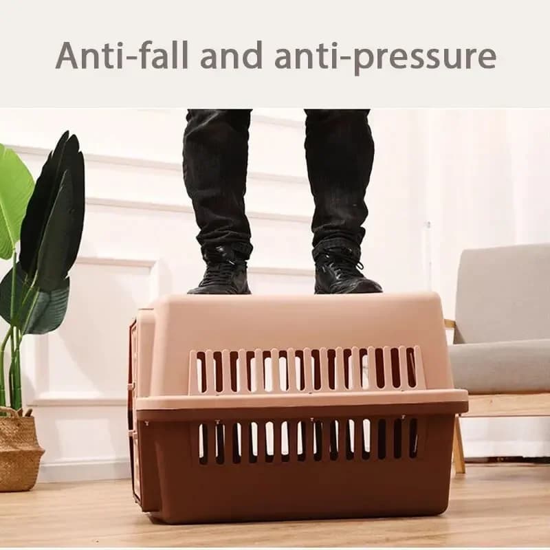 Portable Pet Carrier with Hinged Roof