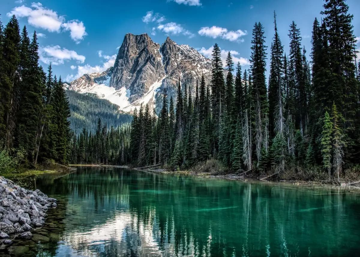 Forest Mountain Lake Landscape Canvas Print