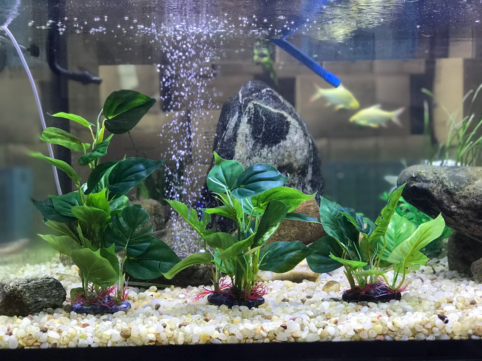 Artificial Aquarium Plant with Large Leaves