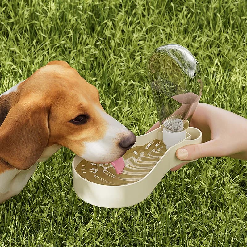 Portable Dog Walking Feeder and Water Dispenser