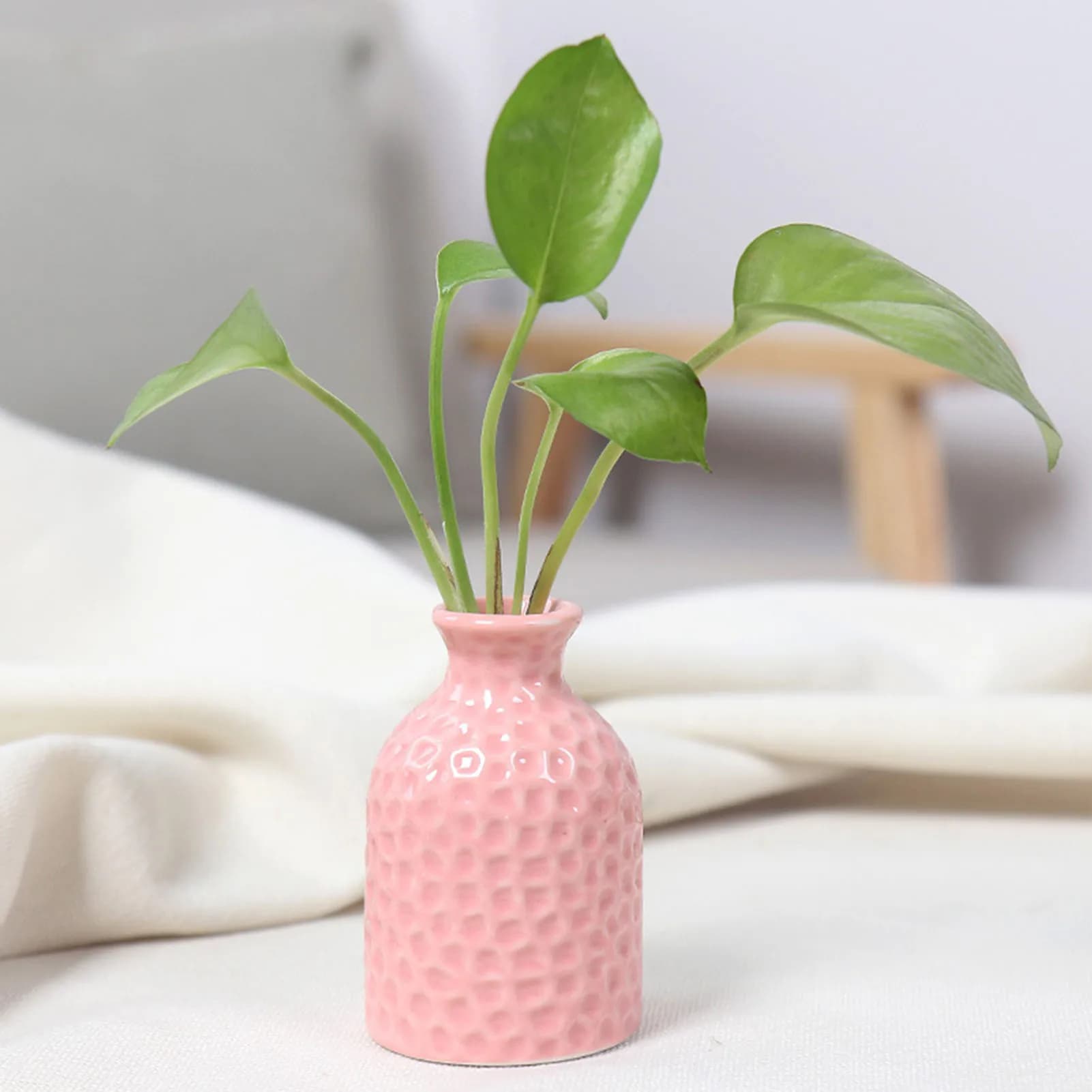 Ceramic Flower Vase for Plants