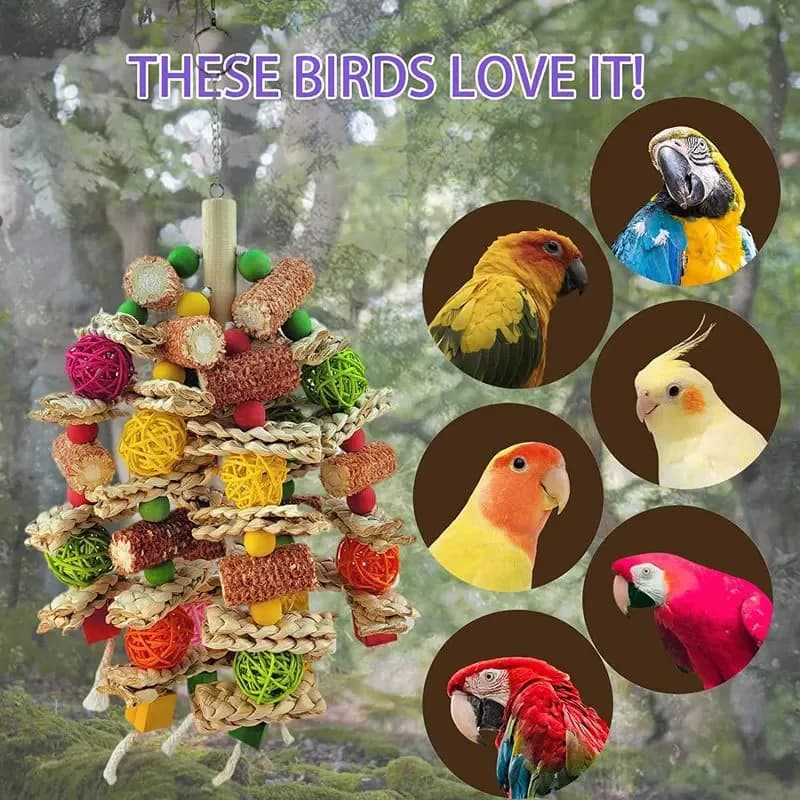 Wooden Parrot Swing Perch Playground
