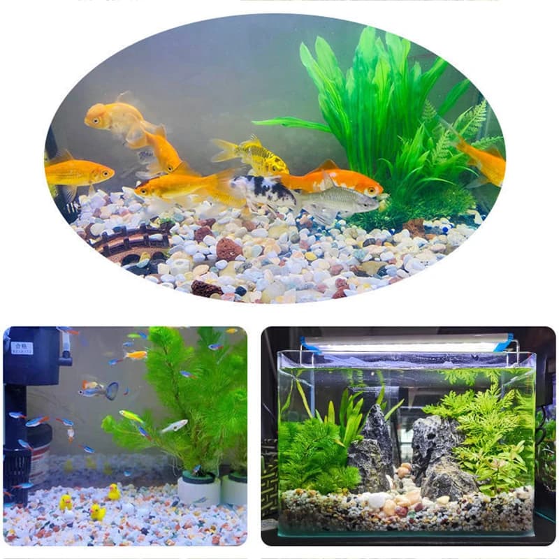 Natural Rainflower Stone Aquarium Decoration