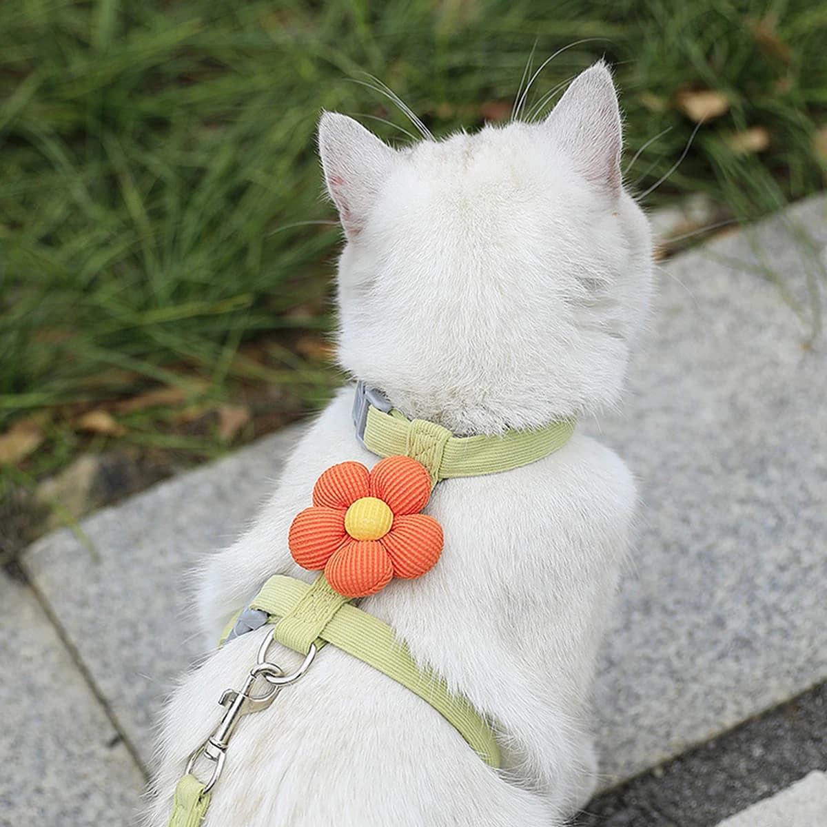 Adjustable Harness and Leash Set for Small Pets